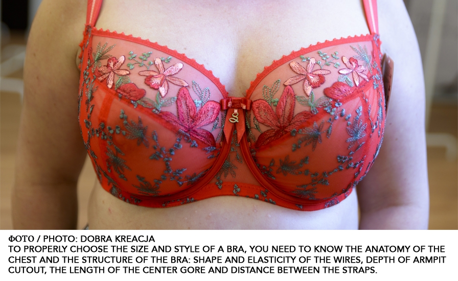 Discover the Anatomy of a Bra
